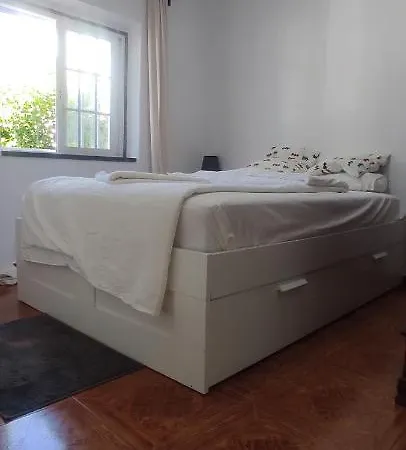 Minidoce